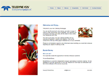 Tablet Screenshot of e2v.baxterstorey.com